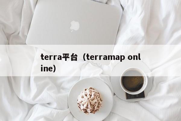 terra平台(terramap online)